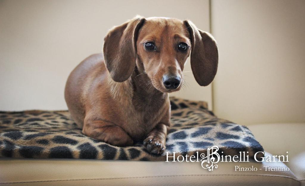 Hotel Binelli ピンツォーロ エクステリア 写真