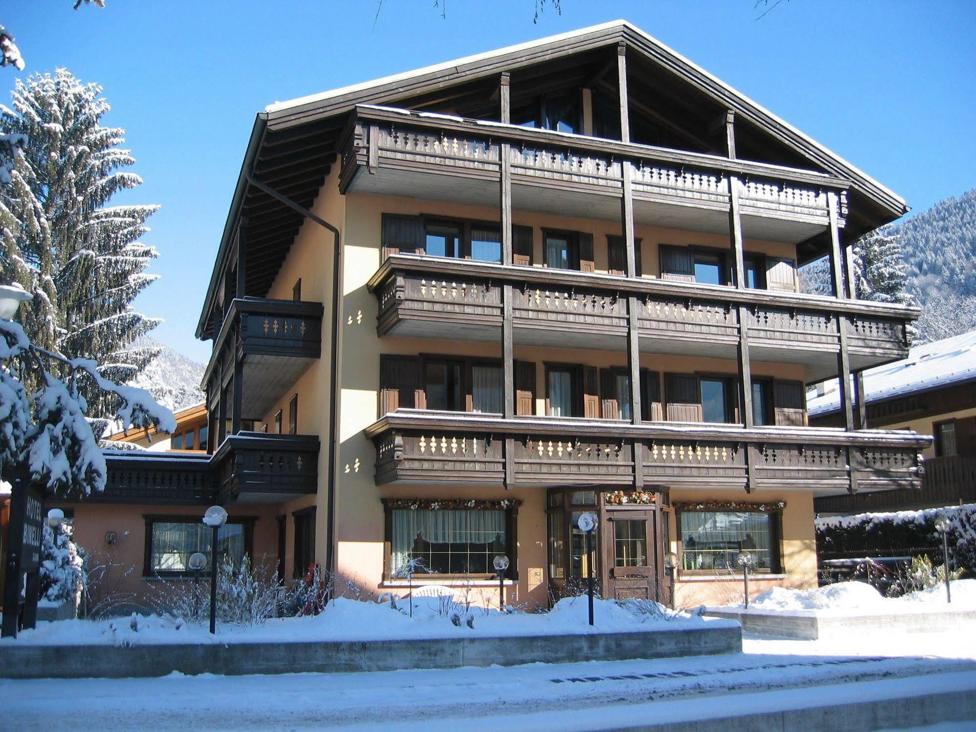 Hotel Binelli ピンツォーロ エクステリア 写真
